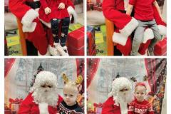 597607790_1662519281764224_2479791126275129102_n-Copy